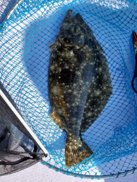 海龍丸（石川） 釣果
