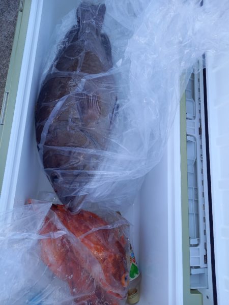 第二龍勢丸 釣果