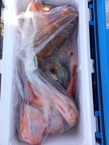 第二龍勢丸 釣果