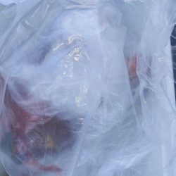 第二龍勢丸 釣果