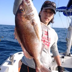 ARCADIAⅡ (アルカディアⅡ) 釣果