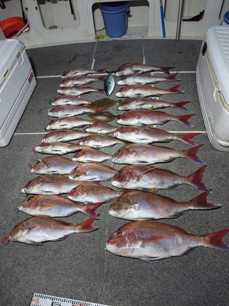 ARCADIAⅡ (アルカディアⅡ) 釣果