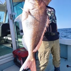 アマテラス 釣果