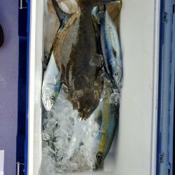 海龍丸(石川) 釣果