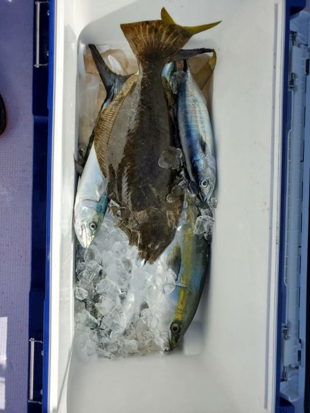 海龍丸(石川) 釣果