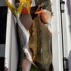 海龍丸(石川) 釣果