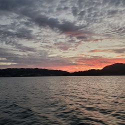 ソルトウォーターガイドフレンズ 釣果