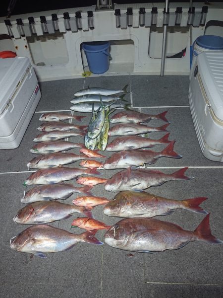 ARCADIAⅡ (アルカディアⅡ) 釣果