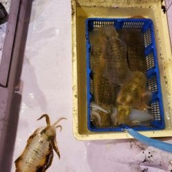 海龍丸（石川） 釣果