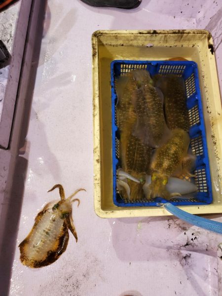 海龍丸（石川） 釣果