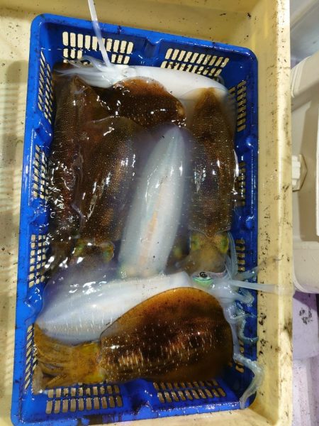 海龍丸（石川） 釣果