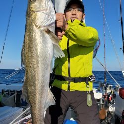 シーライオン 釣果