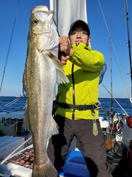 シーライオン 釣果