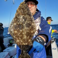 シーライオン 釣果