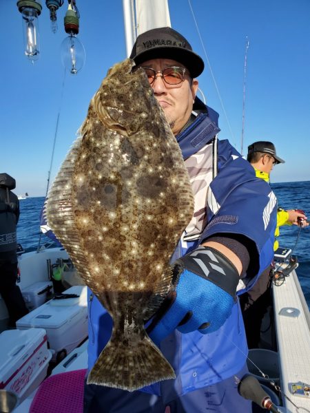 シーライオン 釣果