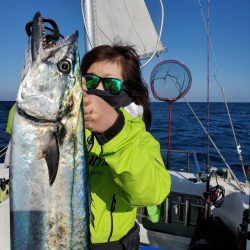 シーライオン 釣果