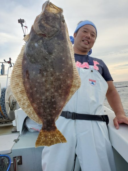 シーライオン 釣果