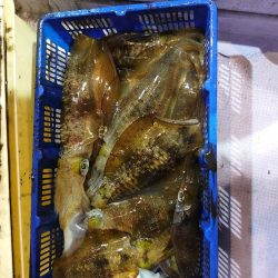 海龍丸（石川） 釣果