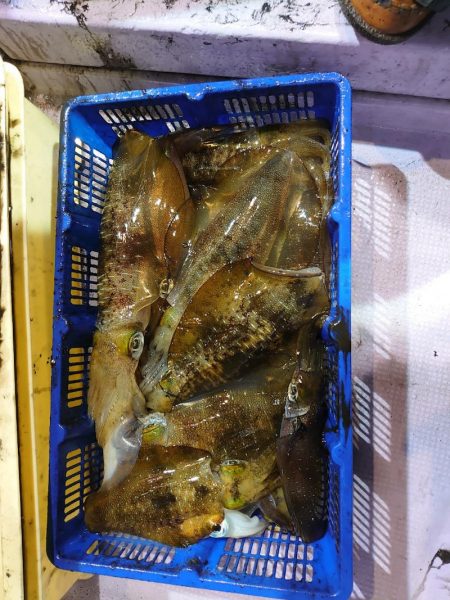 海龍丸（石川） 釣果