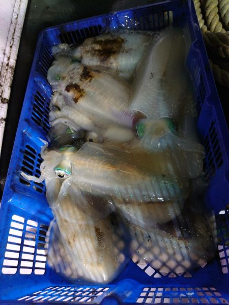 海龍丸（石川） 釣果