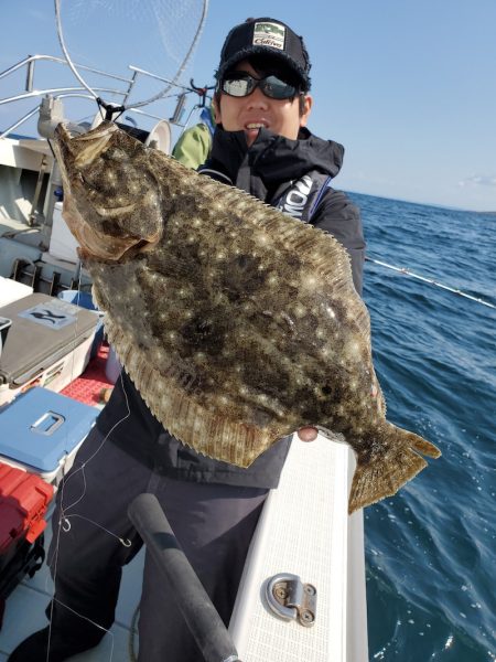 シーライオン 釣果