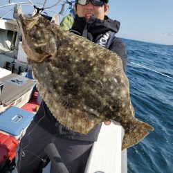 シーライオン 釣果