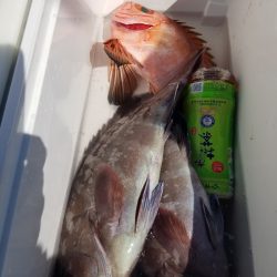 進誠丸 釣果