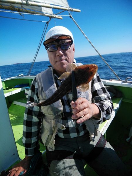 金沢八景鴨下丸 釣果