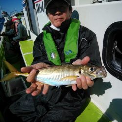 金沢八景鴨下丸 釣果