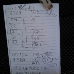 金沢八景鴨下丸 釣果