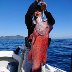 エンペラー 釣果