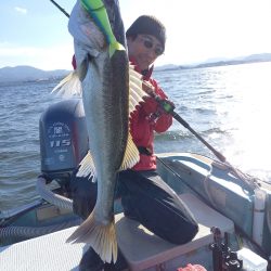 アマテラス 釣果