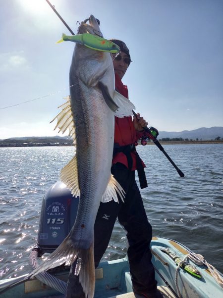 アマテラス 釣果