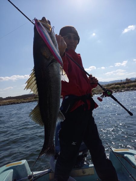 アマテラス 釣果