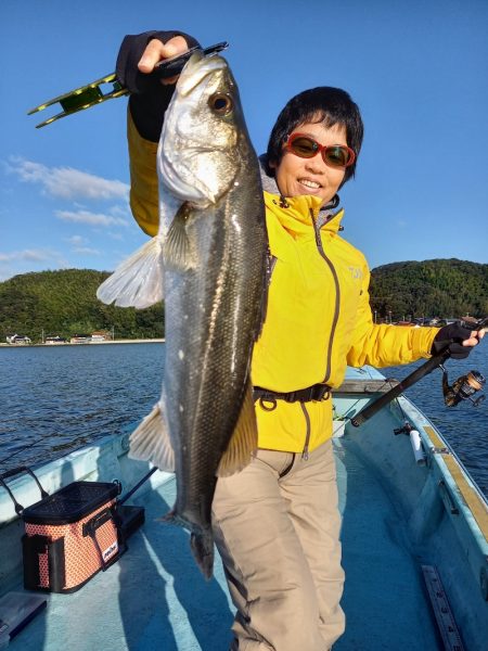 アマテラス 釣果