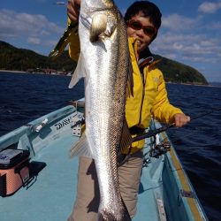 アマテラス 釣果