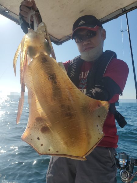 ソルトウォーターガイドフレンズ 釣果