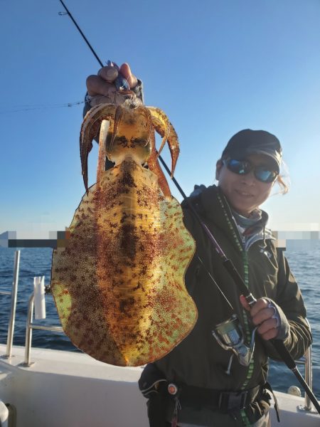 ソルトウォーターガイドフレンズ 釣果