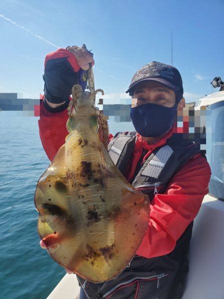 ソルトウォーターガイドフレンズ 釣果