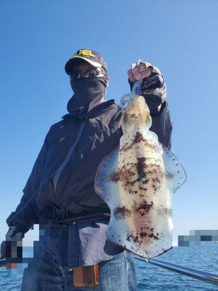 ソルトウォーターガイドフレンズ 釣果