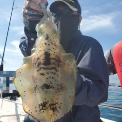 ソルトウォーターガイドフレンズ 釣果