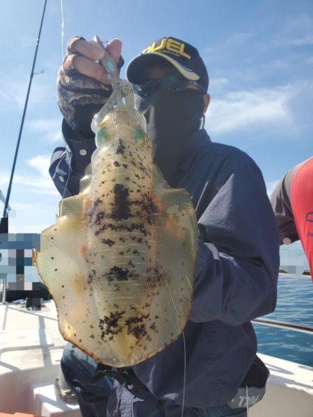 ソルトウォーターガイドフレンズ 釣果