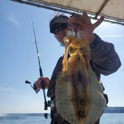 ソルトウォーターガイドフレンズ 釣果