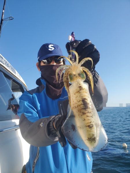 ソルトウォーターガイドフレンズ 釣果