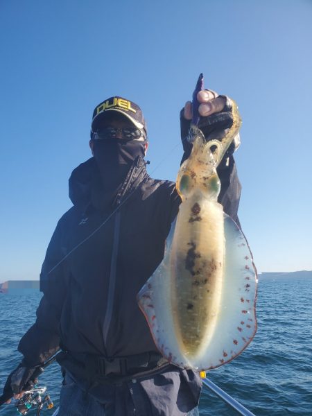 ソルトウォーターガイドフレンズ 釣果