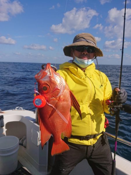 ARCADIAⅡ (アルカディアⅡ) 釣果