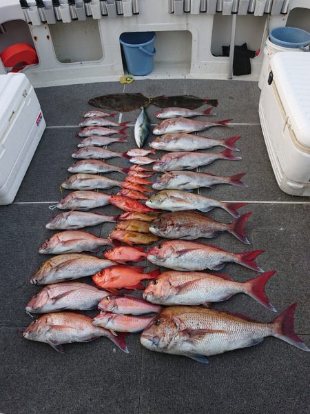 ARCADIAⅡ (アルカディアⅡ) 釣果