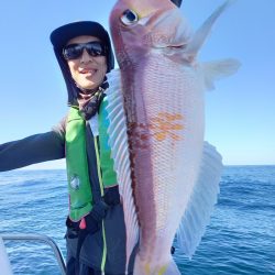 アマテラス 釣果