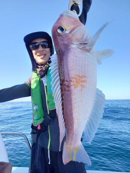 アマテラス 釣果