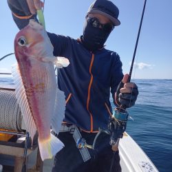 アマテラス 釣果